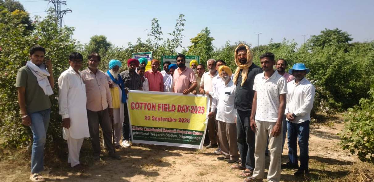 Cotton FIeld Day